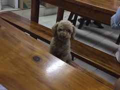 -阊门姚记豆浆(旧学前直营店)
