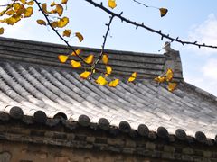 -涂山风景区
