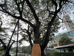-石炮台公园