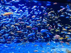 -成都浩海立方海洋公园