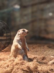 -Zoolung Zoolung动物主题公园(海信广场店)