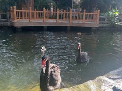 -南宫五洲植物乐园