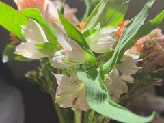 -ROIIN用心(杭州首店)