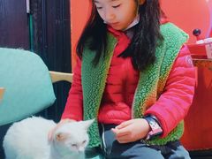 -猫色咖啡·猫咖