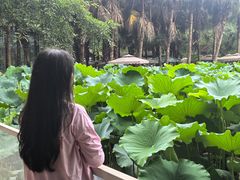 -三圣花乡旅游区