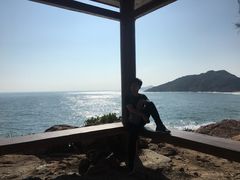 -广东惠东海龟国家级自然保护区