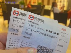 -华美国际影城(旧宫永辉店)