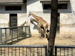 -杭州动物园