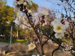 -长广溪湿地公园