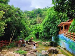 -广州白江湖森林公园