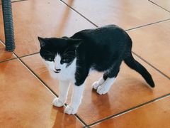 -厦门日月谷温泉渡假村