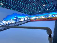 -Hopo Snow 城市滑雪空间(来福士广场购物中心店)