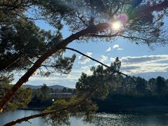 -北极村旅游风景区