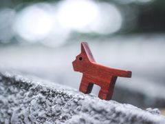 -五月木作·DIY木作文创体验店(北京路店)