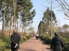 -白鹭湾湿地公园