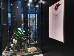 -KCOOKING概念韩餐(世茂52+店)