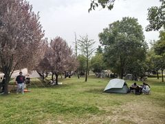 -洨河生态公园