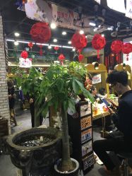 -木北造型