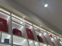 -天鹅到家·保姆月嫂育儿嫂(总店)