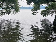 -西湖游船