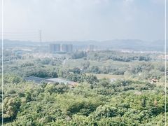 -美的鹭湖森林度假区