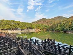 -白马涧龙池景区