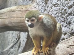 -北京野生动物园