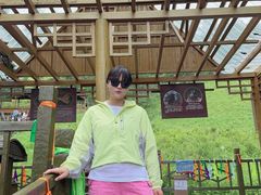 -莫尔道嘎国家森林公园