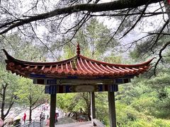 -苍山感通索道