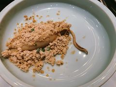 冷吃液氮小鲜鱿-云门锦翠(商鼎国际店)