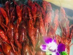 -红盔甲·小龙虾(天钥桥店)