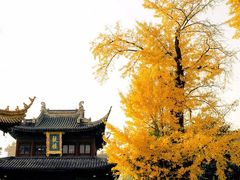 -圆通寺