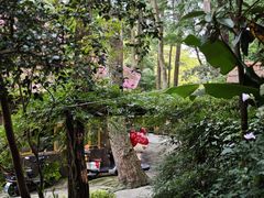 -生态园山庄(森林公园店)