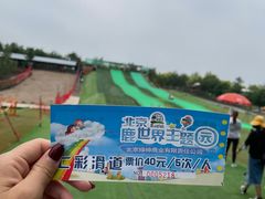 -北京鹿世界主题园