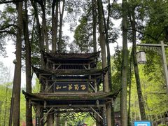 -青城山