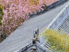 -潭柘寺景区