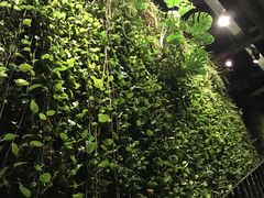 -外婆家(杭州马塍店·杭帮菜名店)