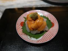 海胆小白虾-橼舍鮨青木