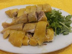 -黄B湛江鸡饭店(粤垦路店)