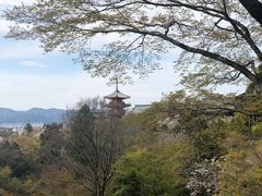 -有栖山 清光院 清水寺