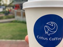 -Cetus coffee鲸鱼座咖啡·拼豆(二仙桥公园店)