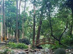 -火炉山森林公园