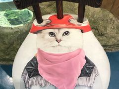 -龟与熊猫宠物公园(南坪店)