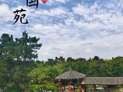 -中国唐苑