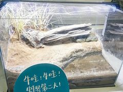 -中国湿地博物馆