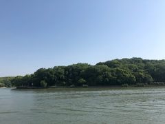 -鹅湖玫瑰文化园