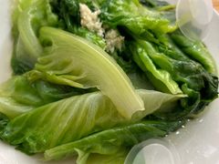 烫生菜-斯丹姜母鸭(涂门街总店)
