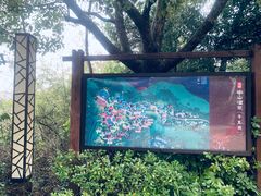 -天目湖涵田半山温泉