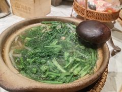 -同乐馆(阳光店)
