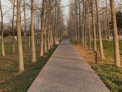 -汉长安城未央宫国家考古遗址公园